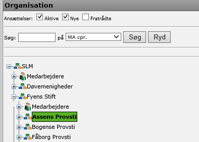 Organisation provsti.png