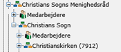 Organisation kirke.png