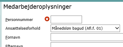 Medarbejderoplysninger.png